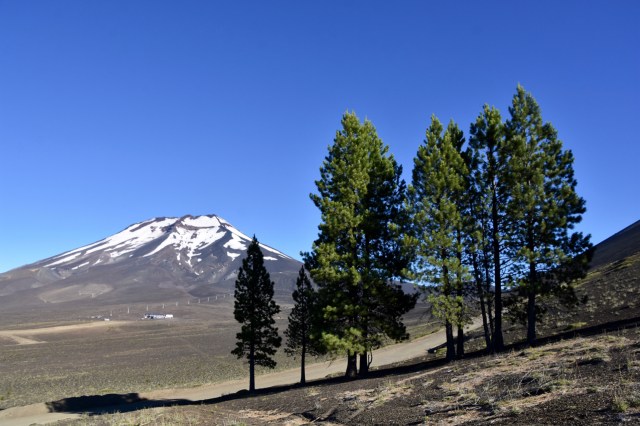 40095431483_11a6bc584c_o