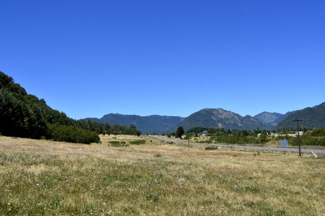 40095442063_dd0845af3f_o