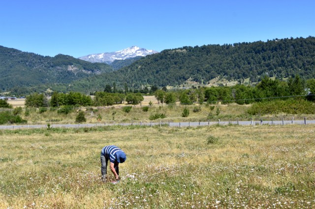 40095442723_56d647c2fb_o