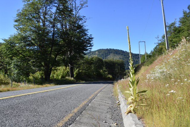 46995023992_7d896e25b0_o