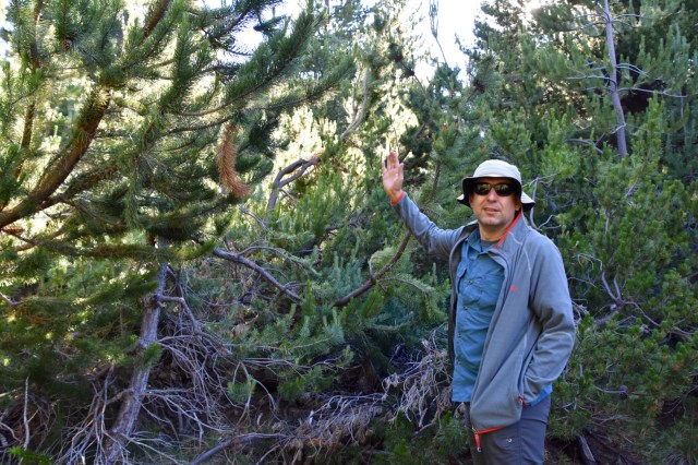 47060388151_b19f6eaeda_o