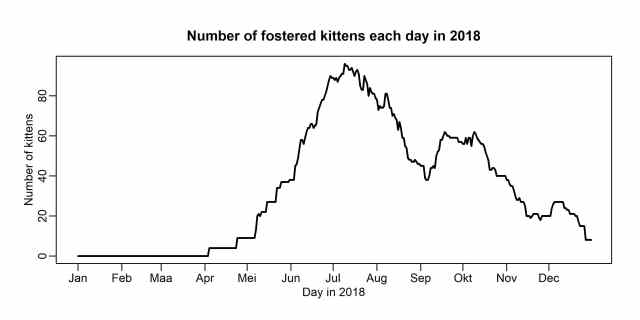 Aantal kittens per dag