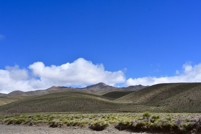 46146705005_cdcfeff98f_o