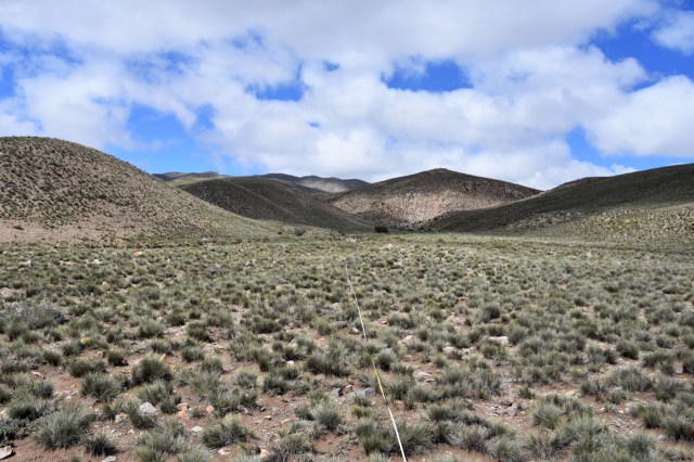 46146705065_863faa2a29_o