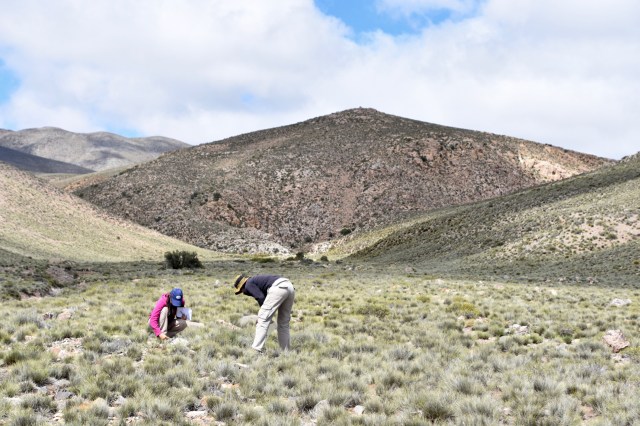 46146705165_3bb661a95a_o