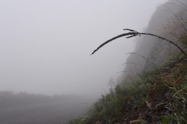 47060445971_6149733423_o