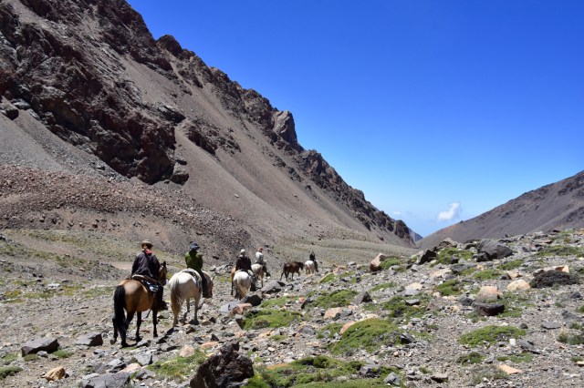 33185088868_93a4eda4b2_o