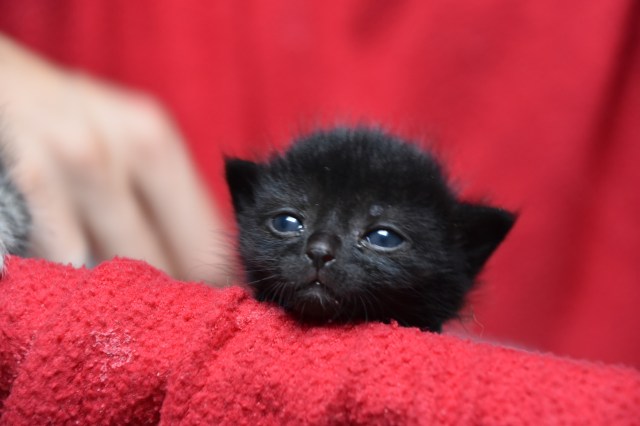 92669858_243175170398395_1180306495259017216_n