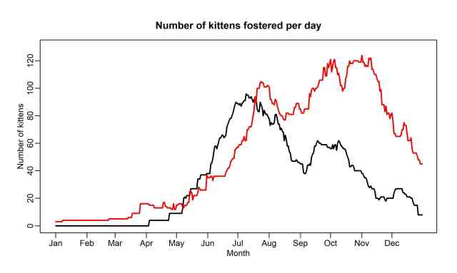 Number of kittens per day 2018-2019