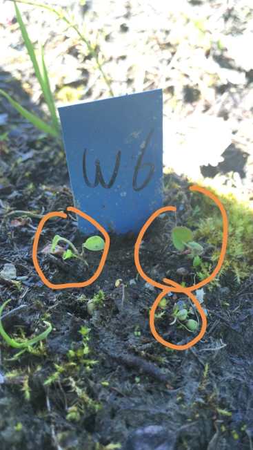 WhatsApp Image 2020-07-06 at 10.23.24.jpeg