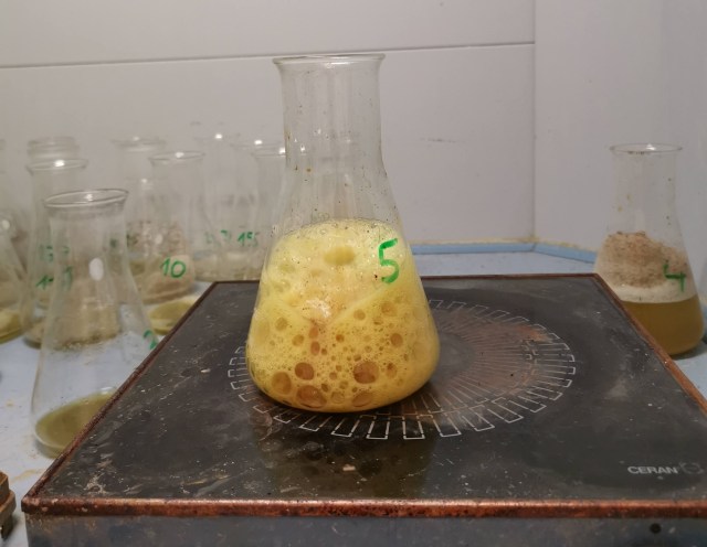 IMG_20200804_113758_1